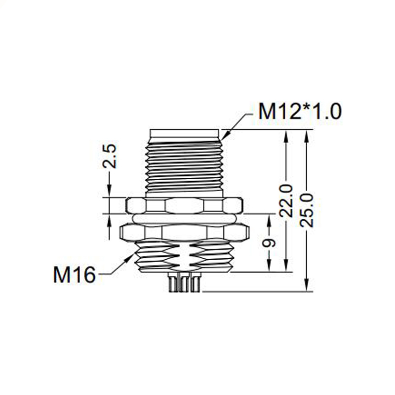 M12 8pins A code male straight rear panel mount connector M16 thread,unshielded,solder,brass with nickel plated shell